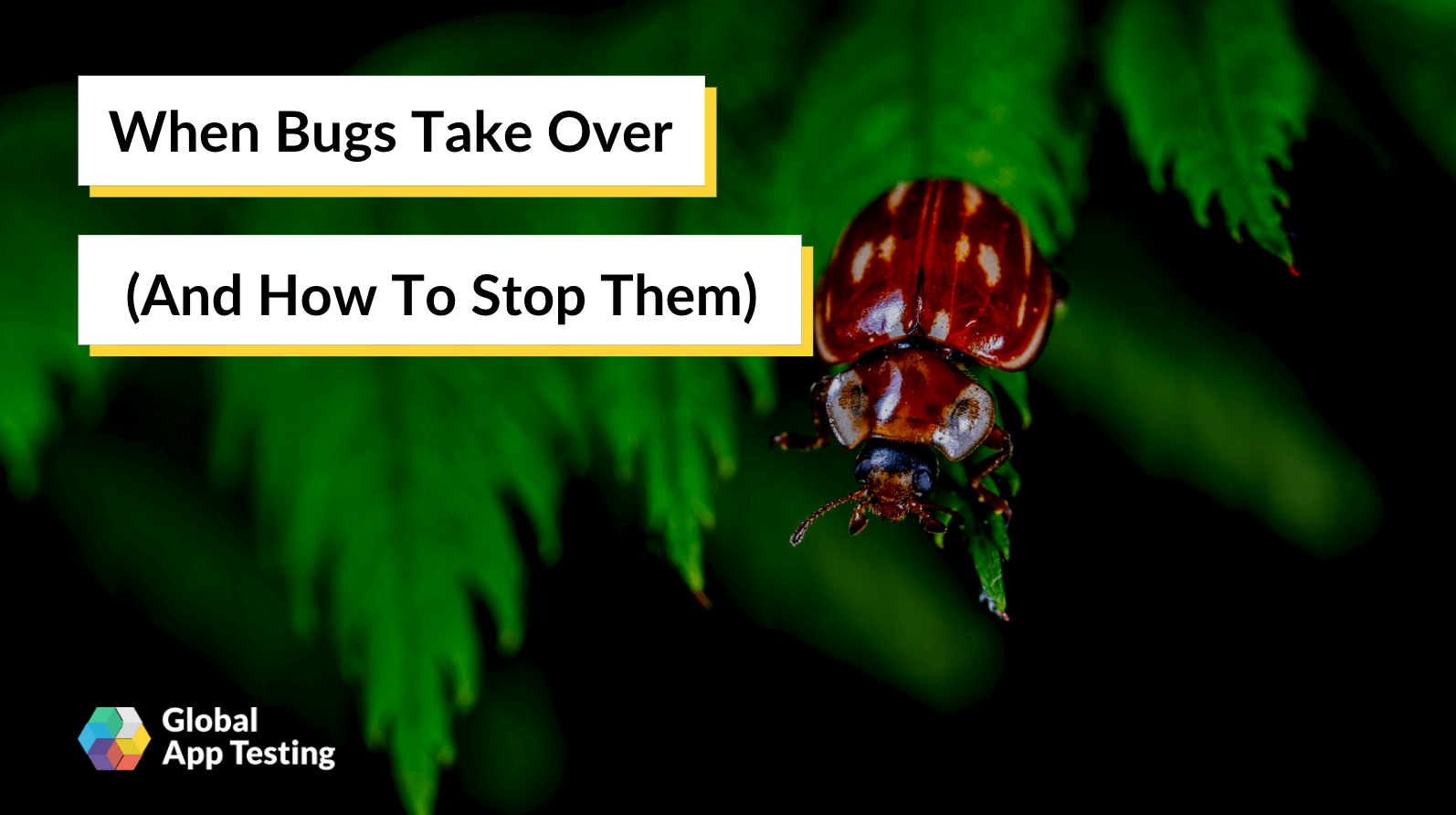 When Bugs Take Over (And How To Stop Them)